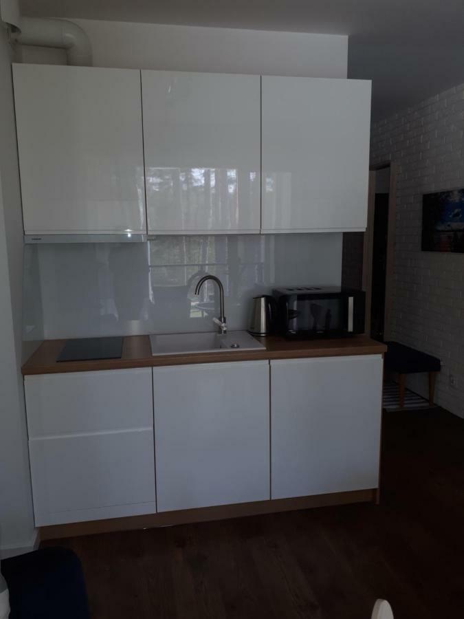 Nad Jeziorem Necko Apartment